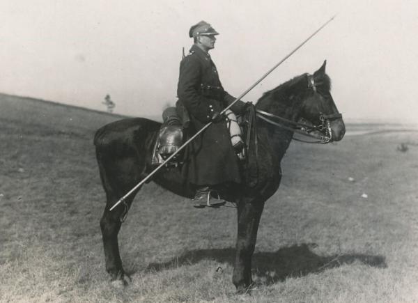 mężczyzna na koniu