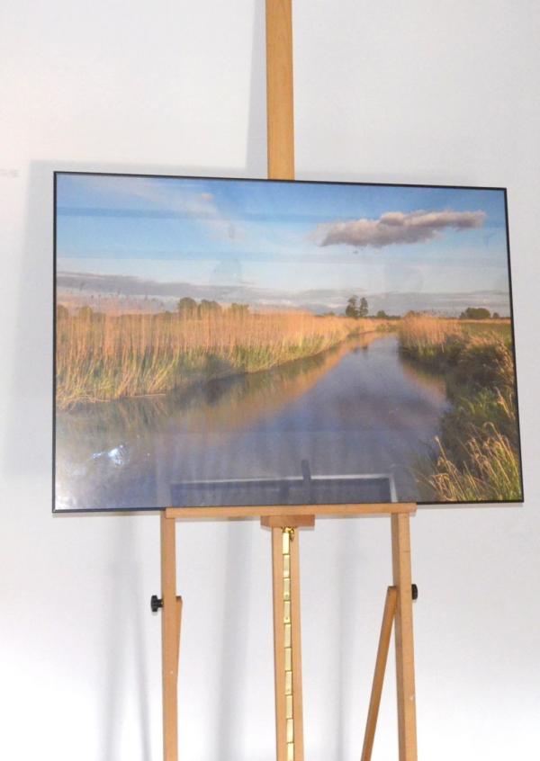 fotografia krajobrazu z rzeką i łąką