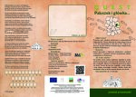 Miasto Przasnysz.pdf